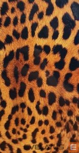 Aizmugurējais vāciņš Tech-Protect  Tech-Protect MagMat MagSafe iPhone 13 mini case - navy blue matte 