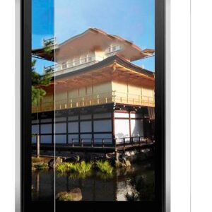 Aizsargstikls Evelatus Blackview BV8000 Pro