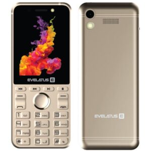 Mobilie telefoni Evelatus  Tron DS Gold