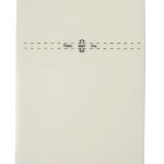 Apsauginė plėvelė Evelatus Samsung S10 Plus TPU Screen Protective Film