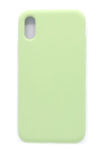 Aizmugurējais vāciņš Evelatus Apple iPhone XR Premium Soft Touch Silicone Case Mint Green