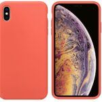 Чехол на заднюю панель Evelatus Apple iPhone Xs Soft Premium Soft Touch Silicone Case Nectarine