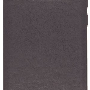 Aizmugurējais vāciņš Evelatus Samsung S10e Kuton Black