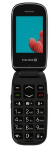 Mobilie telefoni Evelatus  WAVE 2020 DS (EW02BK) Graphite Black