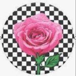 Universāls turētājs (Popsocket) Popsockets  PT-SK8R GRL-BK 