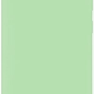 Aizmugurējais vāciņš Evelatus Samsung Galaxy S10 Nano Silicone Case Soft Touch TPU Mint