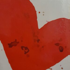 Aizsargplēve Evelatus Universal Heart Colorful Film for Sreen Cutter