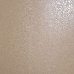 Aizsargplēve Evelatus Universal Leather Film for Screen Cutter Beige