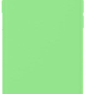 Aizmugurējais vāciņš Evelatus Apple iPhone XR Nano Silicone Case Soft Touch TPU Mint