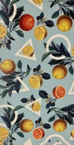 Aizsargplēve Evelatus Universal Lemon Colorful Film for Screen Cutter