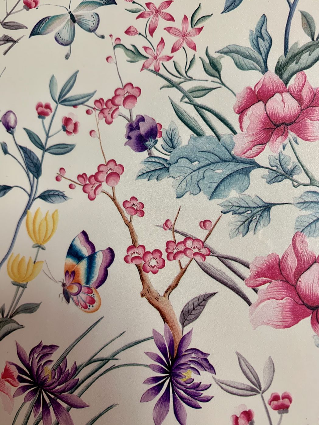 Kaitsekile Evelatus Universal Butterfly In The Garden Colorful Film for Screen Cutter