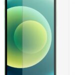 Kaitseklaasid Evelatus Apple iPhone 12 Pro Max 6.7 Matte 2.5D Silk Cover Japan Glue Glass Anti-Static