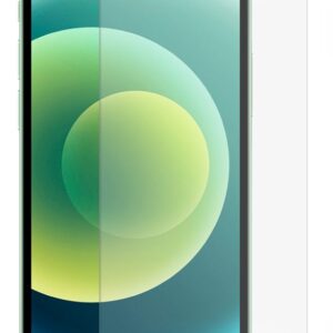 Protective glass Evelatus Apple iPhone 12 Pro Max 6.7 Matte 2.5D Silk Cover Japan Glue Glass Anti-Static