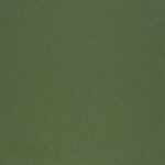 Apsauginė plėvelė Evelatus Universal Universal Color Shinning Film for Screen Cutter Army Green