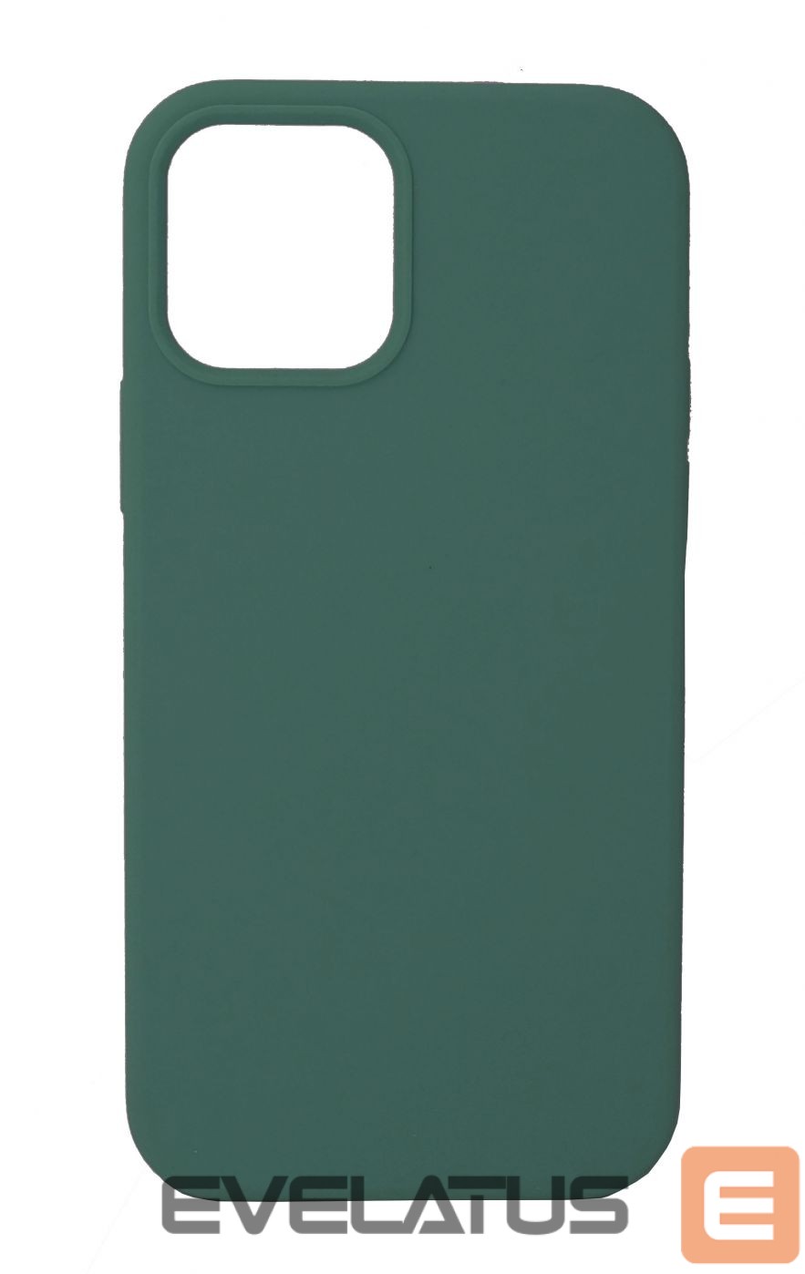 Tagakaaned Evelatus Apple iPhone 12 mini Premium Soft Touch Silicone Case Pine Green