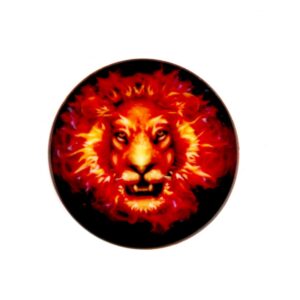 Universaalne telefonihoidja (Popsocket) iLike  Universal Pop Holder Fire Lion