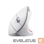 Компьютерная мышь Trust  MOUSE USB OPTICAL WRL VERTO/ERGONOMIC WHITE 25132 