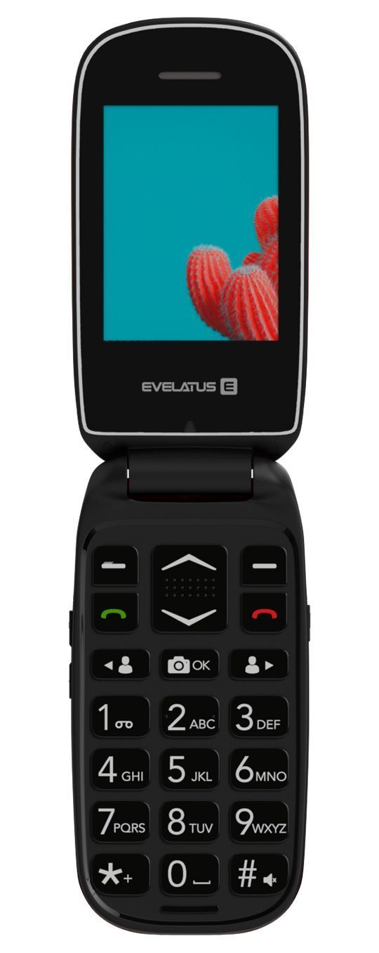 Mazlietots telefons Evelatus Wave 2020 (Used B Grade) Maroon Red