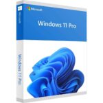 Kitas kompiuterio priedas Microsoft  FQC-10528 Win 11 Pro 64Bit Eng Intl 1pk DSP OEI DVD 