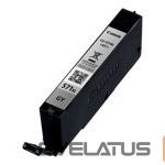 Printer accessories Canon  CLI-571XL GY 