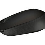 Arvutihiir Logitech  LOGI B170 Wireless Mouse Black OEM 