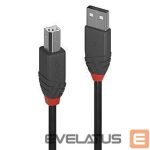 Kabelis LINDY  CABLE USB2 A-B 10M/ANTHRA 36677 