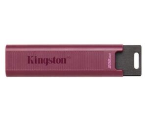 Zibatmiņa Kingston  MEMORY DRIVE FLASH USB3.2/256GB DTMAXA/256GB 