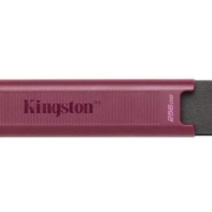 Zibatmiņa Kingston  MEMORY DRIVE FLASH USB3.2/256GB DTMAXA/256GB 
