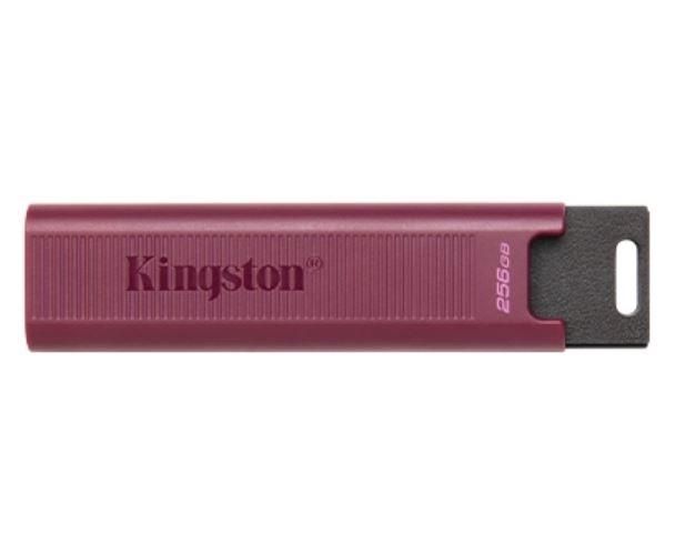 Zibatmiņa Kingston MEMORY DRIVE FLASH USB3.2/256GB DTMAXA/256GB