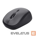 Datora pele Trust  MOUSE USB OPTICAL WRL YVI+/BLACK 24549 