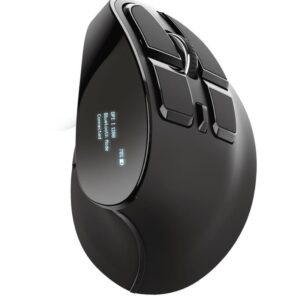 Arvutihiir Trust  MOUSE USB OPTICAL ERGONOMIC/VOXX 23731 