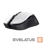 Arvutihiir Trust  MOUSE USB OPTICAL WRL YBAR/GTX923W 24889 