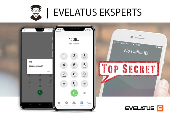 ​Evelatus Expert!