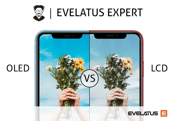 Evelatus Expert – What is the difference between LCD and OLED?