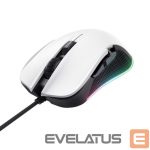 Computer mouse Trust  MOUSE USB OPTICAL ECO/GXT922W YBAR 24730 