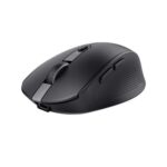 Kompiuterio pelė Trust  MOUSE USB OPTICAL WRL OZAA/24819 