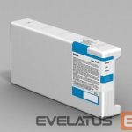 Tarvikud ja tarvikud EPSON  UltraChrome GS2 T688100 Ink cartrige, Black 