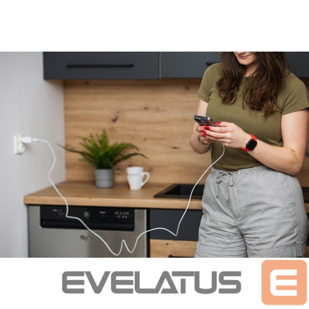 Cable Forcell Cable USB C to USB C Forcell F-Energy QC4.0 PD 5A 100W 3 m C339 white