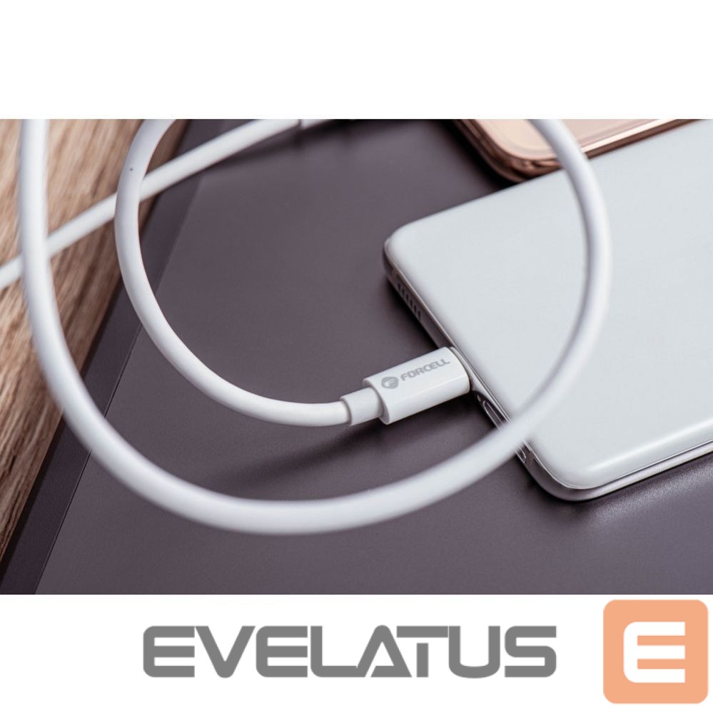 Cable Forcell Cable USB C to USB C Forcell F-Energy QC4.0 PD 5A 100W 3 m C339 white