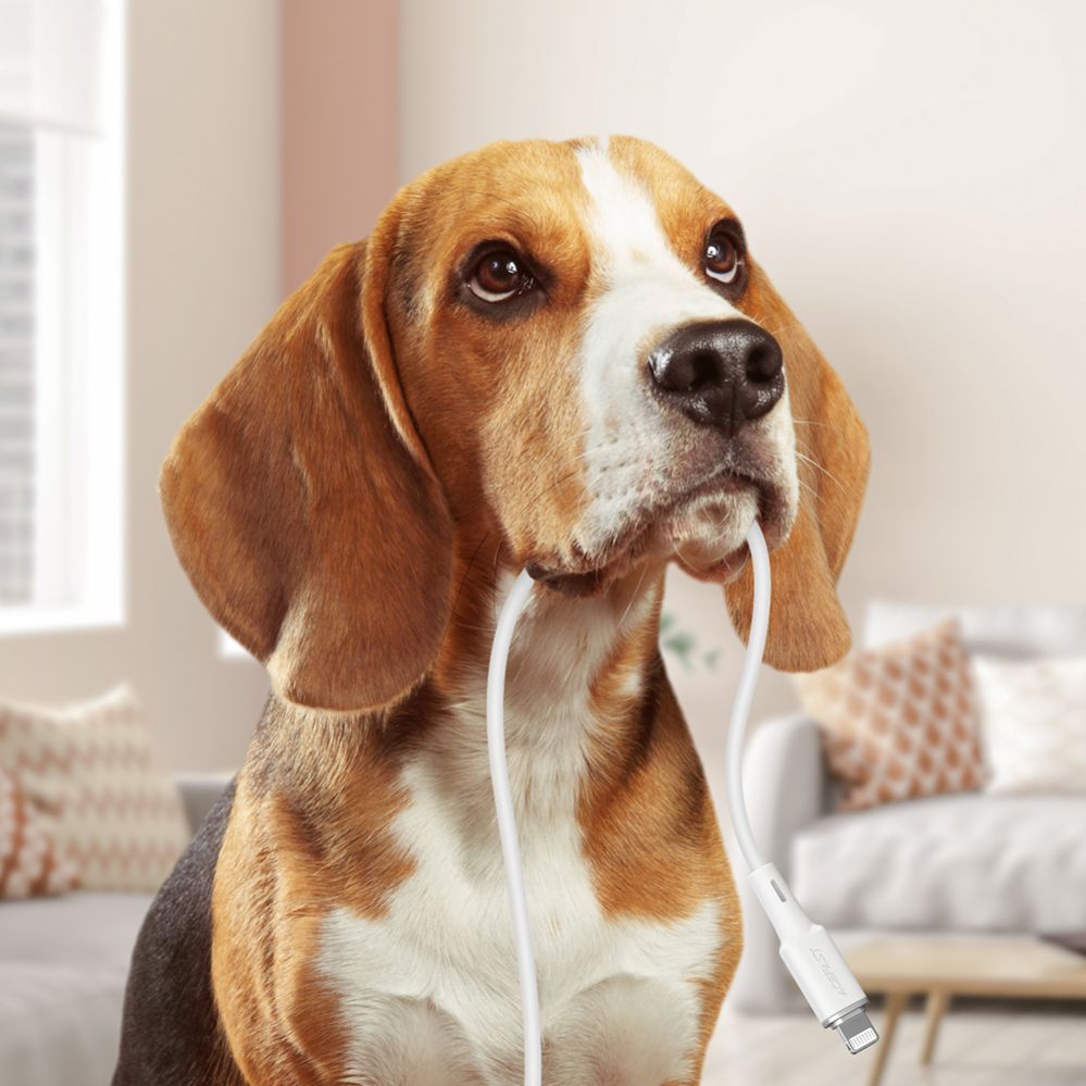 Cable Acefast Acefast cable MFI USB Type C - Lightning 1.2m, 30W, 3A black (C2-01 black)