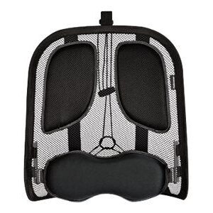 Kontoritarbed Fellowes  Professional back support with mesh Professional Series