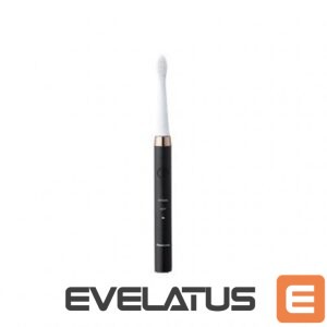 Zobu birste Panasonic  Electric Toothbrush EW-DM81-K503 Rechargeable, For adults, Number of brush heads included 2, Number of teeth brushing modes 2, Sonic technology, White/Black 