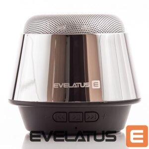 Juhtmevabad kõlarid Evelatus - Bluetooth Speaker ESP01 Silver