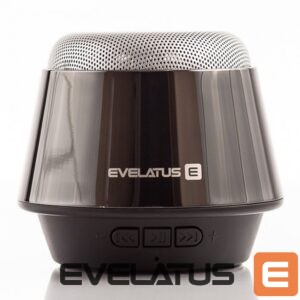 Bluetooth speakers Evelatus  Bluetooth Speaker ESP01 Black