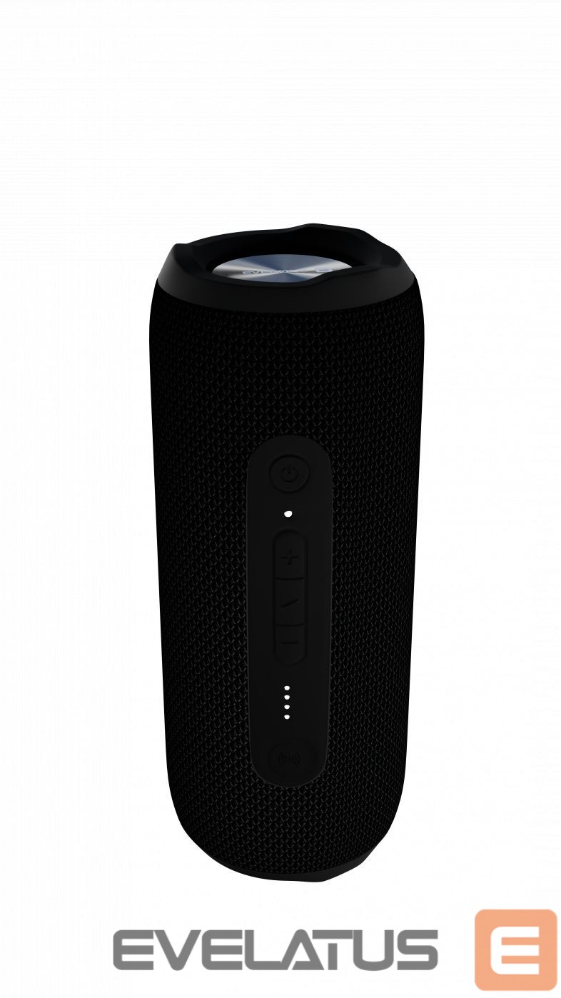 Bluetooth speakers Evelatus Evelatus Bluetooth Speaker L size EBS03 Black