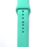 Siksniņa Handodo Apple Watch 42mm / 44mm Silicone Band Green