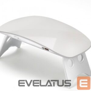 LED Flashlight Evelatus - Big UV light White