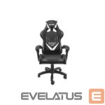 Компьютерные креслa / столы Natec  NATEC Fury gaming chair Avenger L black 
