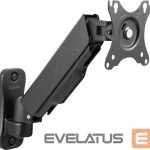 Teleri kinnitus Logilink  Monitor wall mount BP0144 17-32 