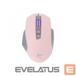 Компьютерная клавиатура White Shark  GM-5009 Gareth Pink